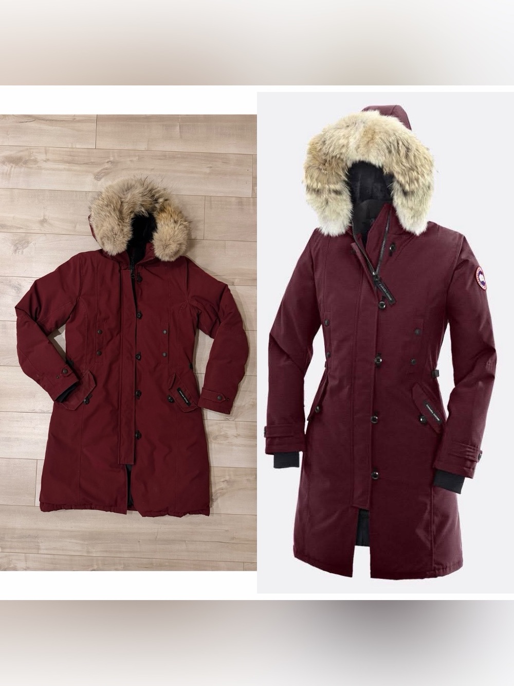 Canada Goose parka (grandeur/size M)